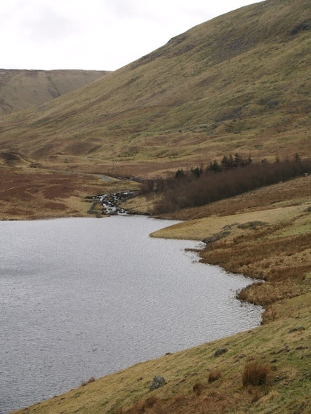 Photo 6"x4" Foot of Winterhopeburn Talla Linnfoots c2009
