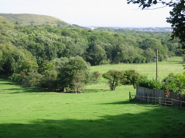 Photo 6"x4" View looking SE past Coombe Farm Etchinghill\/TR1639 c2008