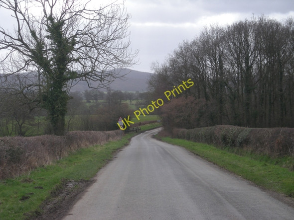 Photo 6"x4" Lane past Brick Kiln Coppice Eaton\/SO5090 c2009