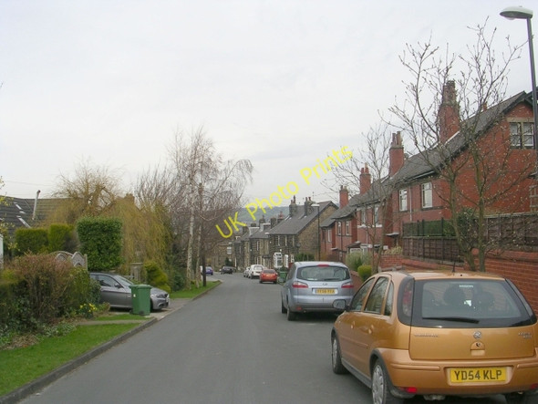 Photo 6"x4" Ash Grove - Burras Lane Otley\/SE2045 c2009