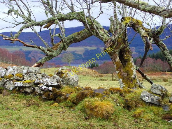 Photo 6"x4" Near Corryfoyness farm Balchraggan\/NH5634 c2009