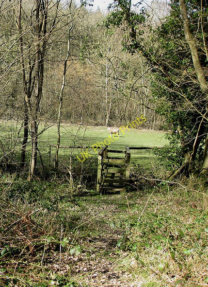 Photo 6"x4" Footbridge over an unnamed brook Broadmoor Common c2009