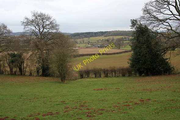 Photo 6"x4" Footpath to Ullingswick Bleak Acre c2009