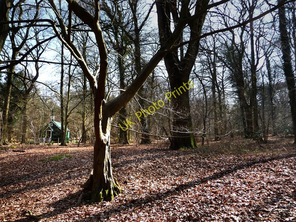 Photo 6"x4" Church In The Woods Bramdean West Tisted c2009