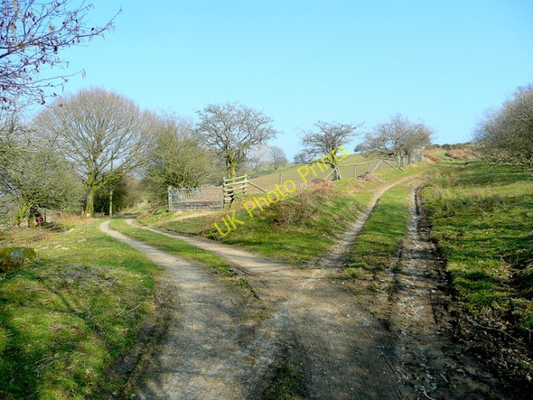 Photo 6"x4" Diverging tracks Llangadfan c2009