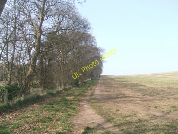Photo 6"x4" Springtime on the Monarch's Way Stourbridge c2009