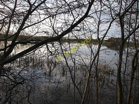 Photo 6"x4" Lake at Maes-llyn, Cors Caron Tregaron c2009