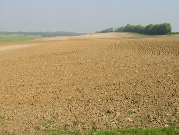 Photo 6"x4" Looking NE across a field near Eythorne Eythorne c2008