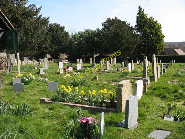 Photo 6"x4" Teston, St Peter & St Paul:  graveyard Teston c2009