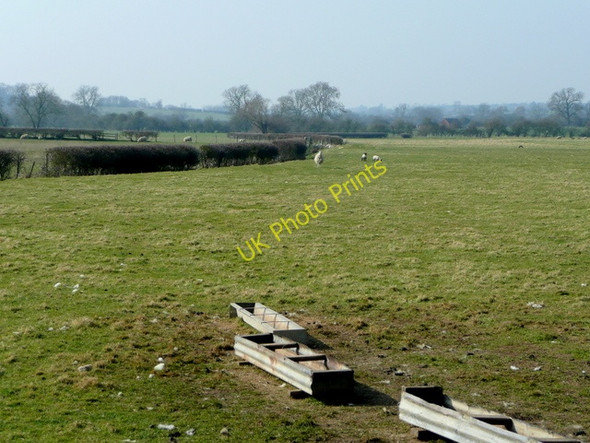 Photo 6"x4" Pasture land near Tollgate Farm Lower Green\/SP5068 c2009