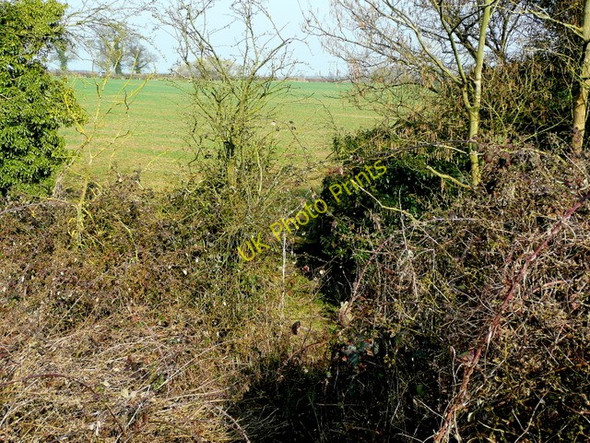 Photo 6"x4" Overgrown footpath north of the A5 Dunsmore\/SP5476 c2009