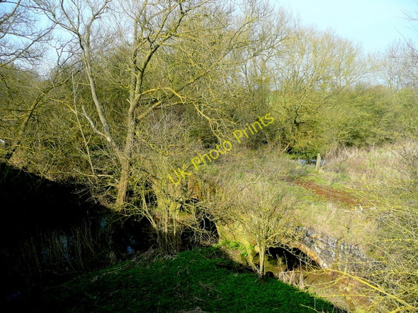 Photo 6"x4" Old Dow Bridge from the New Dow Bridge Dunsmore\/SP5476 c2009