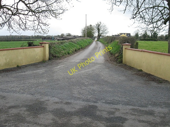 Photo 6"x4" Entrance and Avenue Kilmangah c2009