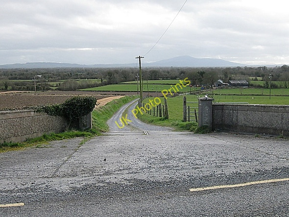 Photo 6"x4" Farm Entrance and Avenue Kilmangah c2009