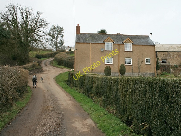 Photo 6"x4" Middle Ashculm Farm on Ashculme Hill Ashculme c2009