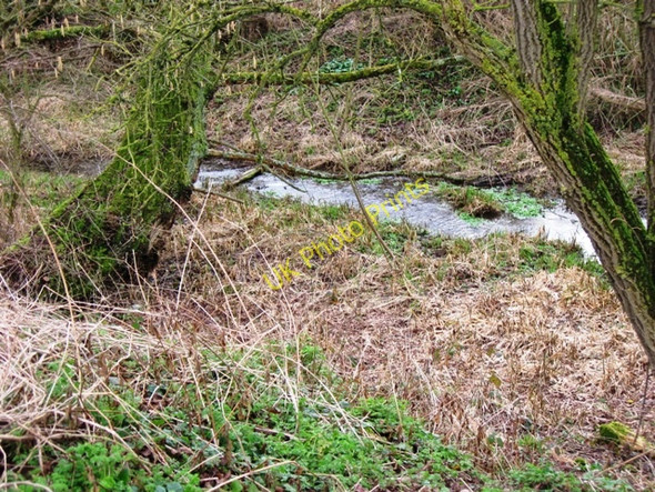 Photo 6"x4" The County Boundary Stream, near Tring Tring c2009