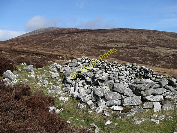 Photo 6"x4" Mt Leinster Kiltealy c2009