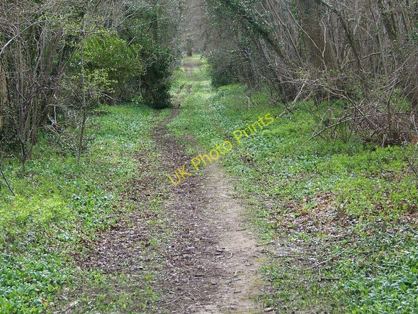 Photo 6"x4" Footpath to Cobley Farm Cobley\/SU0220 c2009 P1
