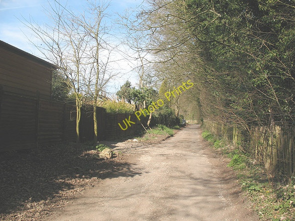 Photo 6"x4" Livesey Street, Teston Livesey Street c2009