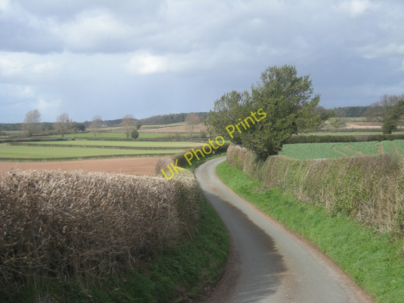Photo 6"x4" Lane along the county boundary Shipley\/SO8095 c2009