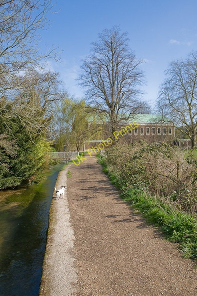 Photo 6"x4" Footpath approaching New Hall, Winchester College Winchester c2009