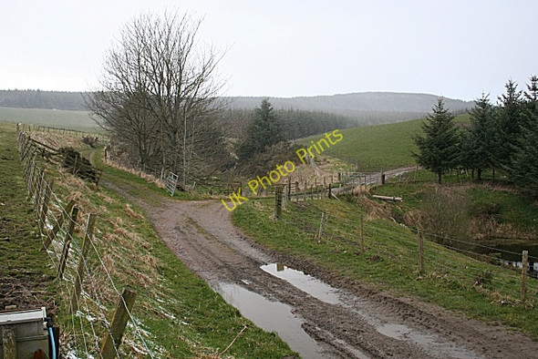 Photo 6"x4" Looking Towards the Hill of Milleath Craighead\/NJ4940 c2009