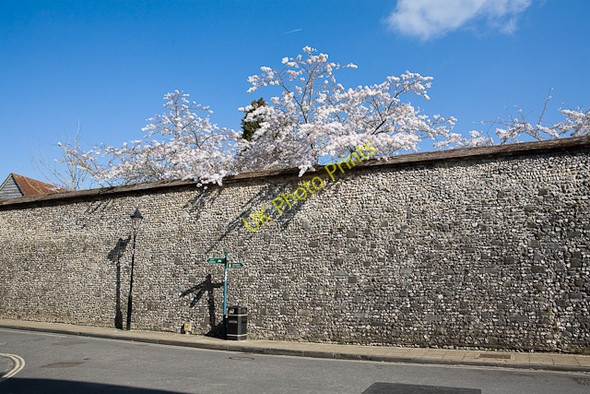 Photo 6"x4" Spring blossom over the wall of Winchester Cathedral Close Winchester c2009