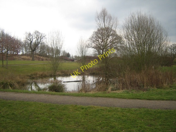 Photo 6"x4" Park pond one Tattenhoe c2009