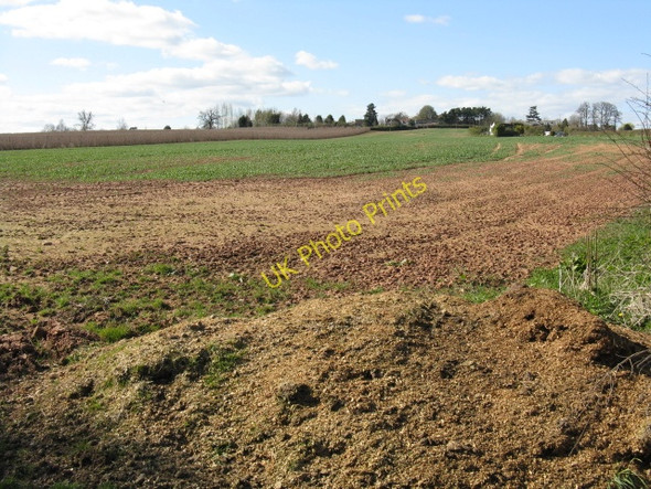 Photo 6"x4" Stocks Farm Bottom Field in March Grittlesend c2009