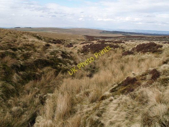 Photo 6"x4" Baad Park Burn East Cairn Hill c2009