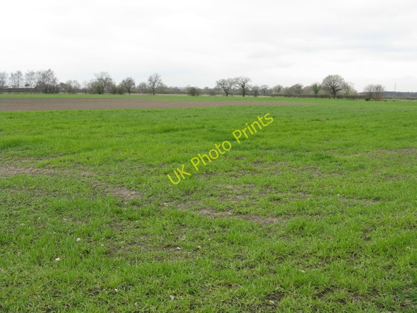Photo 6"x4" Fields at Sinderland Green Sinderland Green c2009