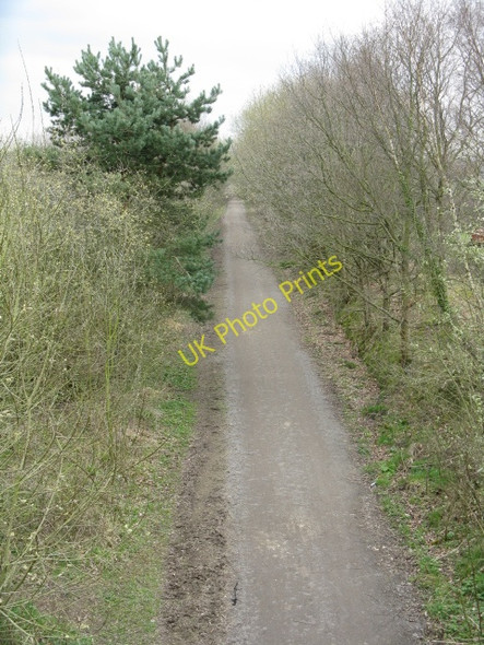 Photo 6"x4" Trans-Pennine Trail Dunham Woodhouses c2009