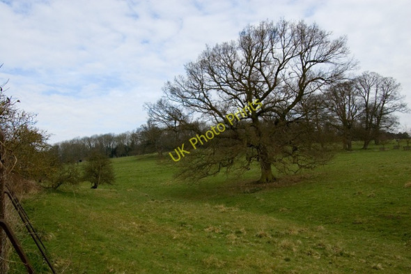 Photo 6"x4" Londesborough Park Londesborough c2009