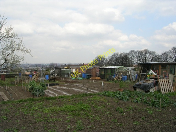 Photo 6"x4" Allotments - East Grange Drive Belle Isle\/SE3129 c2009