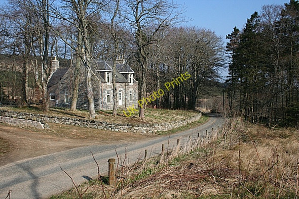 Photo 6"x4" Lower Gordonsburn Craighead\/NJ4940 c2009