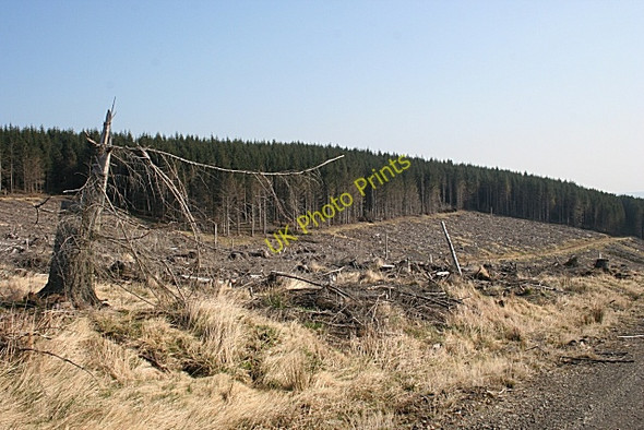 Photo 6"x4" Hill of Bogairdy Bridgend\/NJ5135 c2009