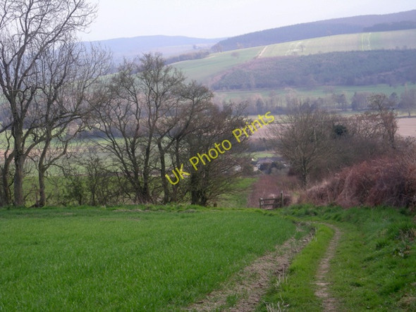 Photo 6"x4" Footpath down to Lydbury North Lydbury North c2009