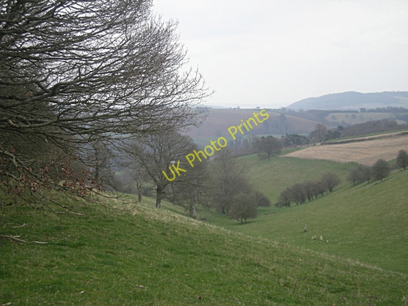 Photo 6"x4" Steep sided valley beside Short Wood Lynchgate c2009