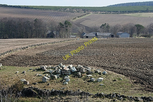Photo 6"x4" Lower Gordonsburn Craighead\/NJ4940 c2009