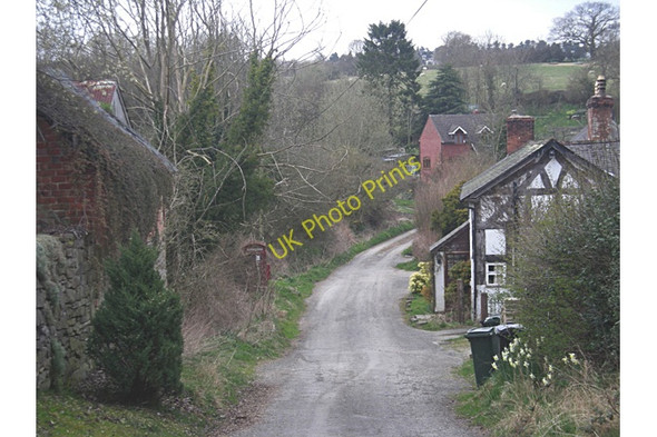 Photo 6"x4" Phone box hiding beside a lane Edgton c2009