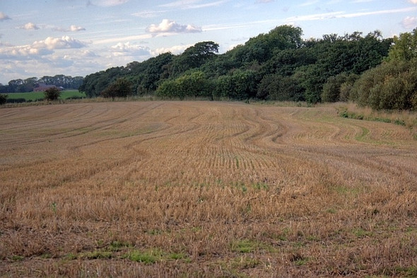 Photo 6"x4" Harvested Field Battersby c2008