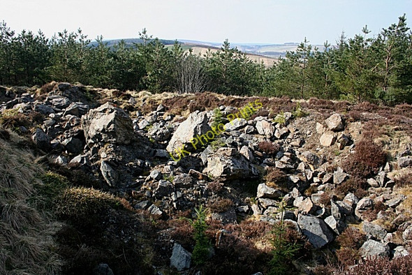Photo 6"x4" Forest Quarry Haugh of Glass c2009