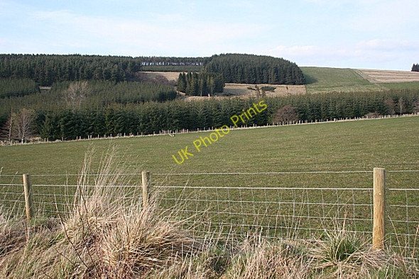 Photo 6"x4" Daugh of Aswanley Haugh of Glass c2009