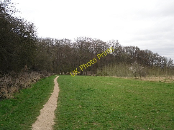 Photo 6"x4" Path towards Blackhouse Wood Emmer Green c2009