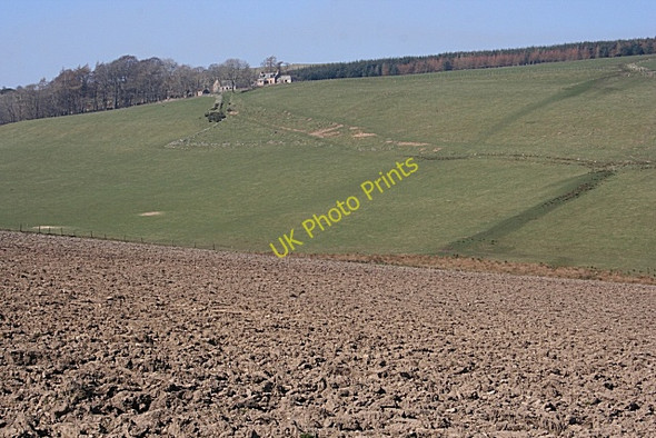 Photo 6"x4" Bonfail from near Lowrie Haugh of Glass c2009