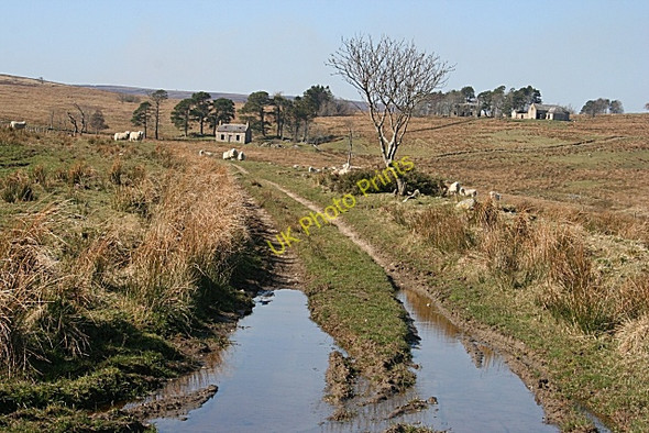 Photo 6"x4" Greens of Glenbeg Haugh of Glass c2009 P1
