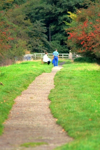 Photo 6"x4" Rail Trail Green End\/NZ8203 c2008