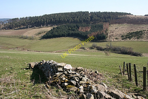 Photo 6"x4" Dumeath Hill from Glenbeg Haugh of Glass c2009