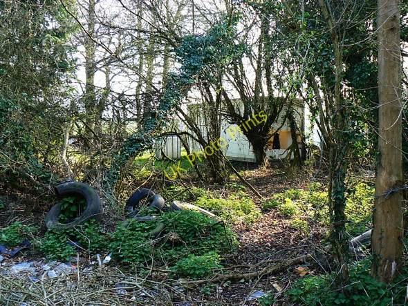 Photo 6"x4" Derelict land near Braydon Wood Braydon Side c2009