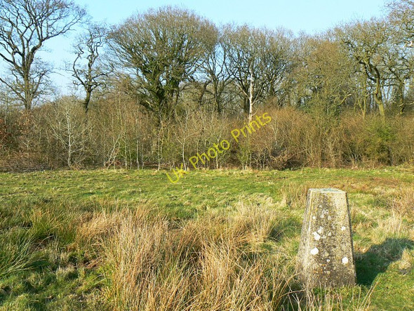 Photo 6"x4" Worthy Hill Farm triangulation pillar, Ravensroost Wood Minety c2009